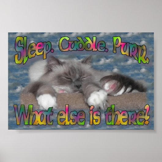 Poster Dors, câlin, purée ! (Devant)