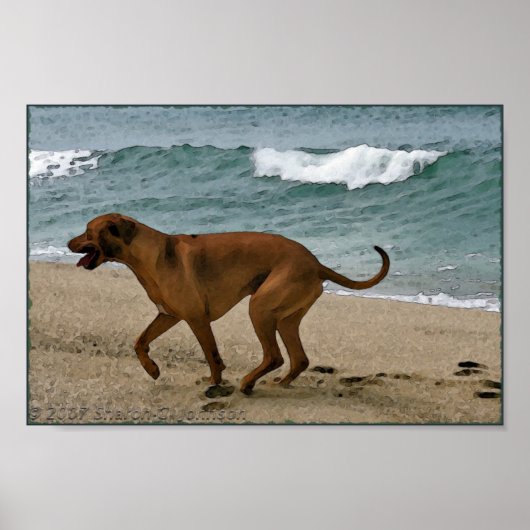 Poster Dorsale maritime (Devant)