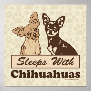 Poster Dort avec Chihuahuas Chien