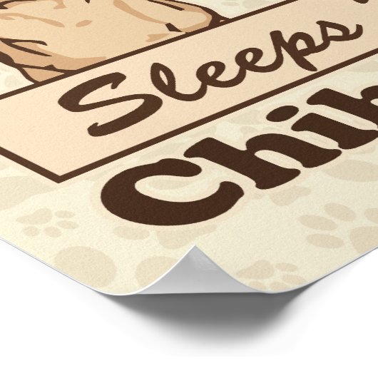 Poster Dort avec Chihuahuas Chig (Coin)