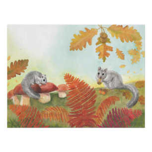 Poster Dortoir européen de graisses (Glis glis) dans la n