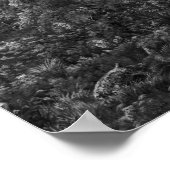 Poster Dossier : Alfred Sharpe - Un eve d'or, Waiheke Isl (Coin)