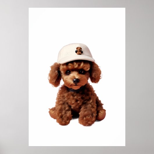 Poster Dossier Mini Caniche au Chocolat Douillet (Devant)