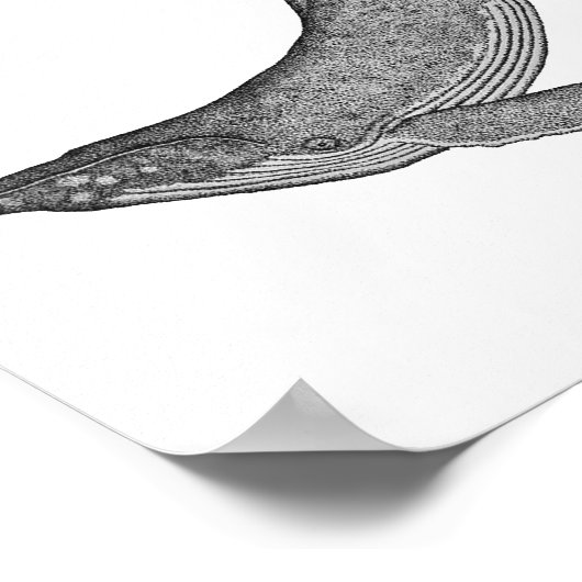 Poster Dotwork de baleines à bosse (Coin)