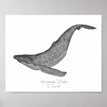 Dotwork de baleines à bosse