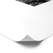 Poster Double Arch (Coin)