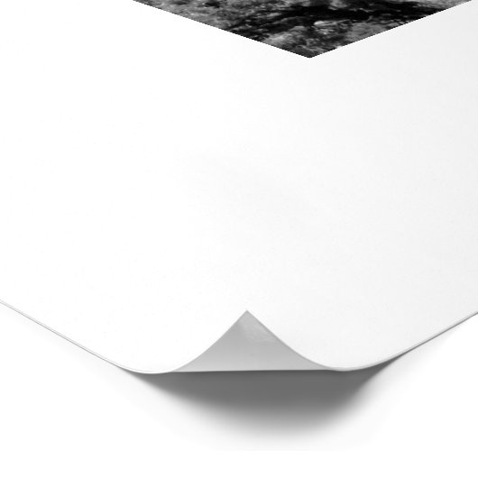 Poster Double Arch (Coin)