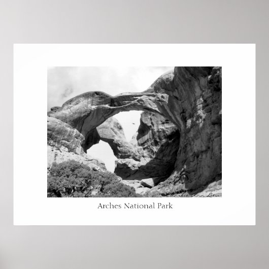 Poster Double Arch (Devant)