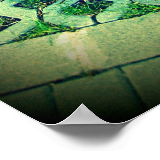 Poster Double Basse Couple (Coin)