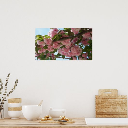 Poster Double Blossoming Cherry (Cuisine)