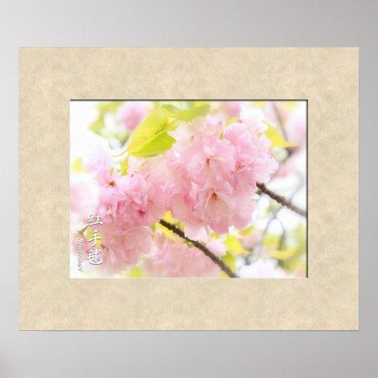 Poster Double Cherry Blossom: Benitemari (Devant)
