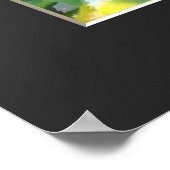Poster Double Cherry Blossom: Kenrokuen-kikuzakura (Coin)