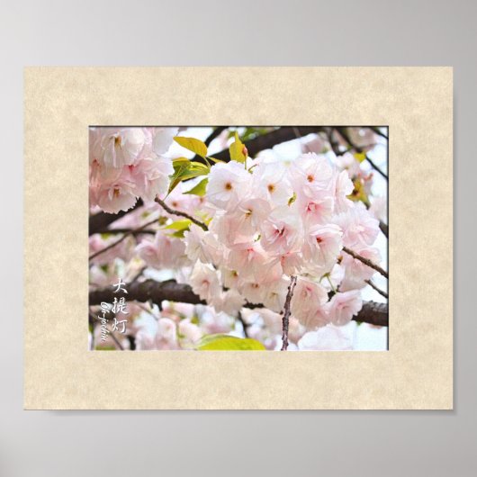 Poster Double Cherry Blossom: Oh-jochin (Devant)