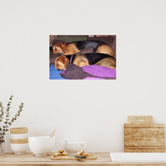 Poster Double chien fatigué (Cuisine)