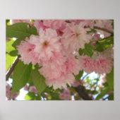 Poster Double floraison cerisier II printemps fleuri (Devant)