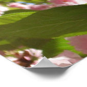 Poster Double floraison cerisier III printemps fleuri (Coin)