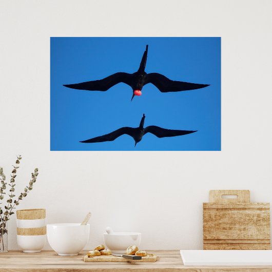 Poster Double Frégate (Cuisine)