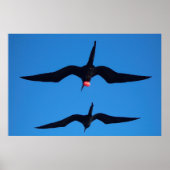 Poster Double Frégate (Devant)
