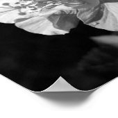 Poster Double Hibiscus noir et blanc (Coin)