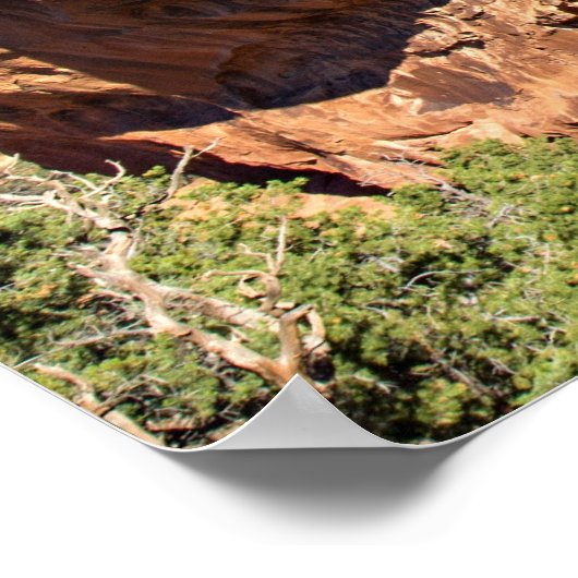 Poster Double O Arch (Coin)