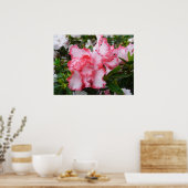 Poster Double rouge et blanc Azaleas printemps floral (Cuisine)