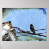 Poster Double vision (Devant)