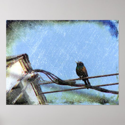 Poster Double vision (Devant)