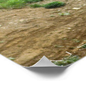 Poster Doubler le Big Hill (Coin)