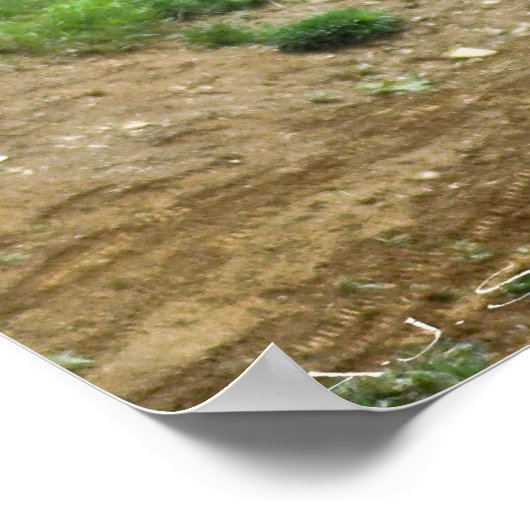 Poster Doubler le Big Hill (Coin)