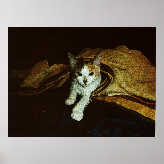 Poster Douce comme un petit chat (Devant)