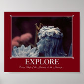 Poster Douceur (Devant)