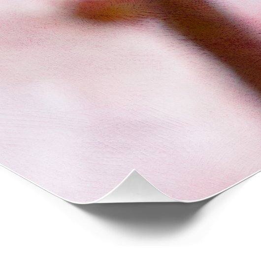 Poster Douceur Du Printemps (Coin)