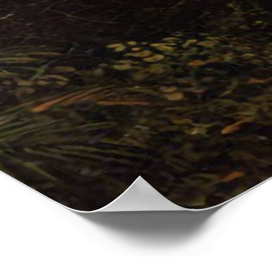 Poster Douche dans l'église Tropic Frederic Edwin (Coin)