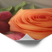 Poster Douche des Roses (Coin)