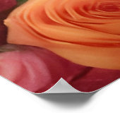 Poster Douche des Roses (Coin)