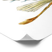 POSTER DOUCHE GARÇON STORK BÉBÉ (Coin)