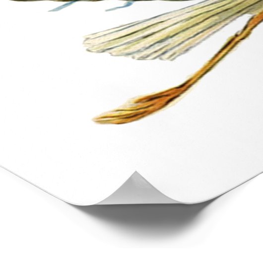 POSTER DOUCHE GARÇON STORK BÉBÉ (Coin)