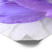 Poster Douche nuptiale de pois doux frais (Coin)