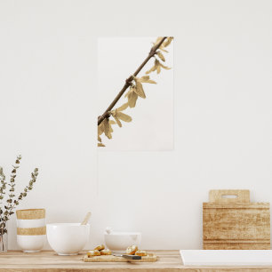 Poster Douches de printemps sur l'affiche des fleurs de F