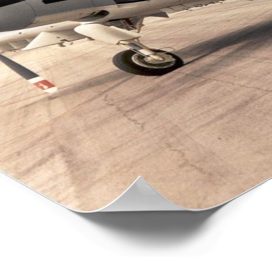 Poster Douglas A-1E Skyraider (Coin)