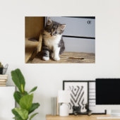 Poster Doux Chat Kitten (Bureau à domicile)