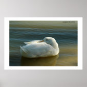 Poster Doux en blanc (Devant)