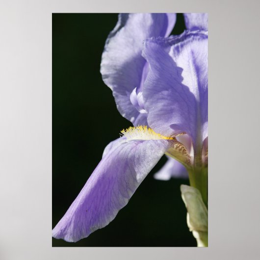 Poster Doux Et Délicat (Devant)