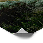 Poster Douze Apôtres Australie (Coin)