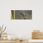 Poster Douze Skimmer tacheté 1 (Cuisine)