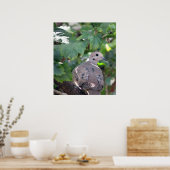 Poster Dove (Cuisine)