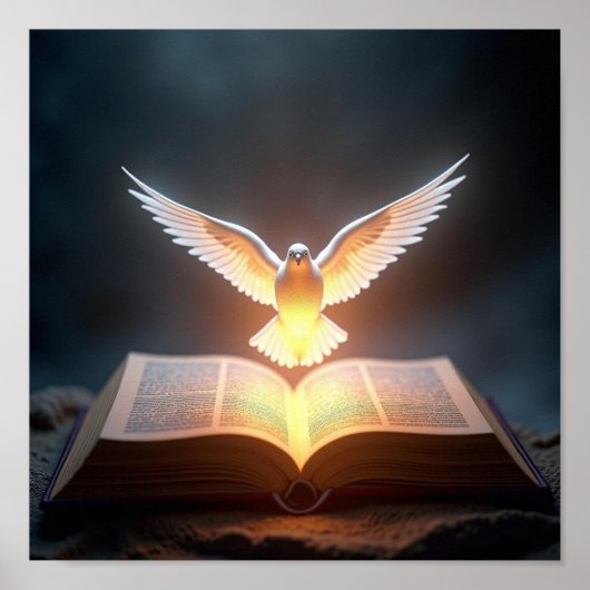 Poster Dove (Devant)