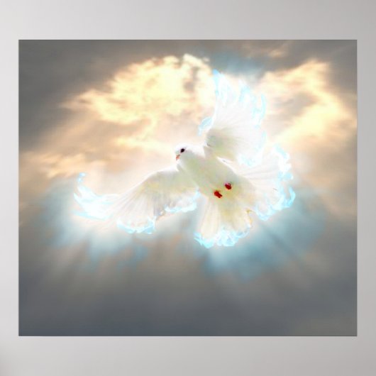 Poster Dove (Devant)