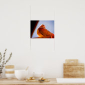 Poster Dove (Cuisine)