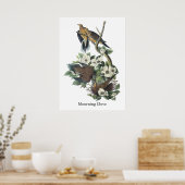 Poster Dove en deuil, John Audubon (Cuisine)